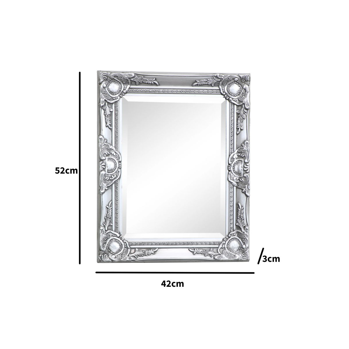 Ornate Silver Wall Mirror with Bevelled Glass