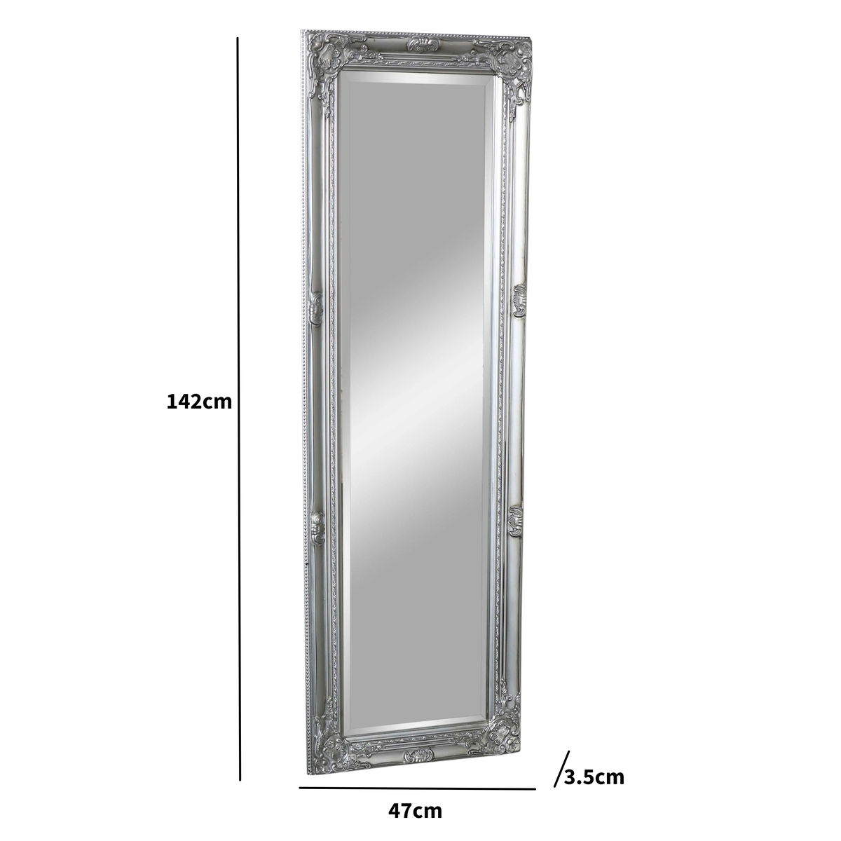 Silver Tall Slim Wall Mirror