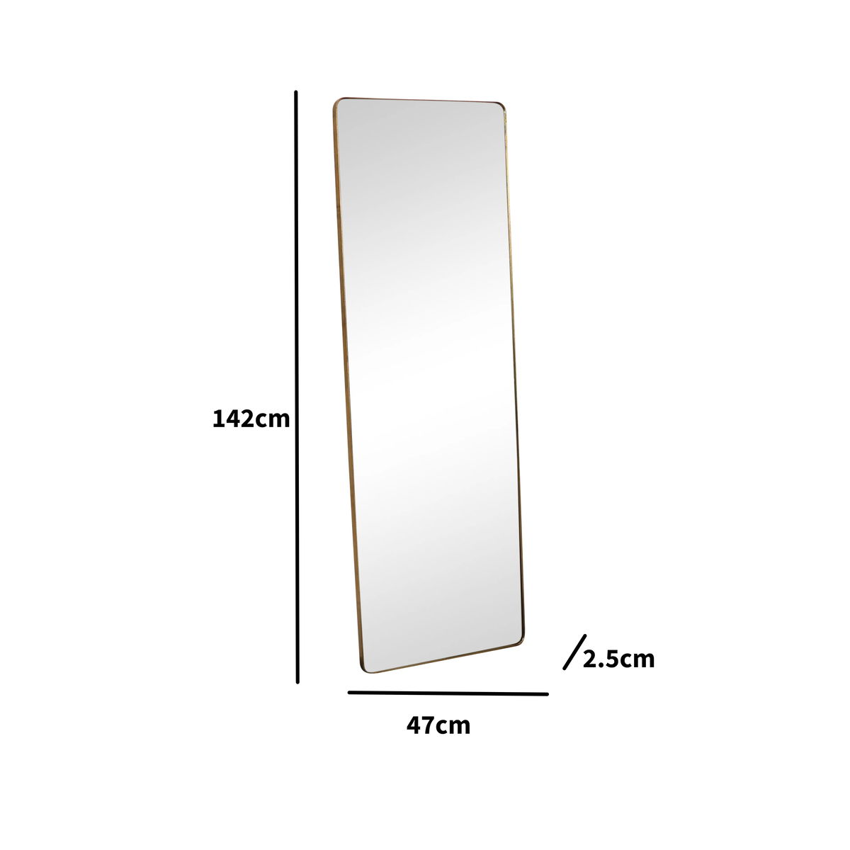 Tall Gold Wall Mirror | Melody Maison