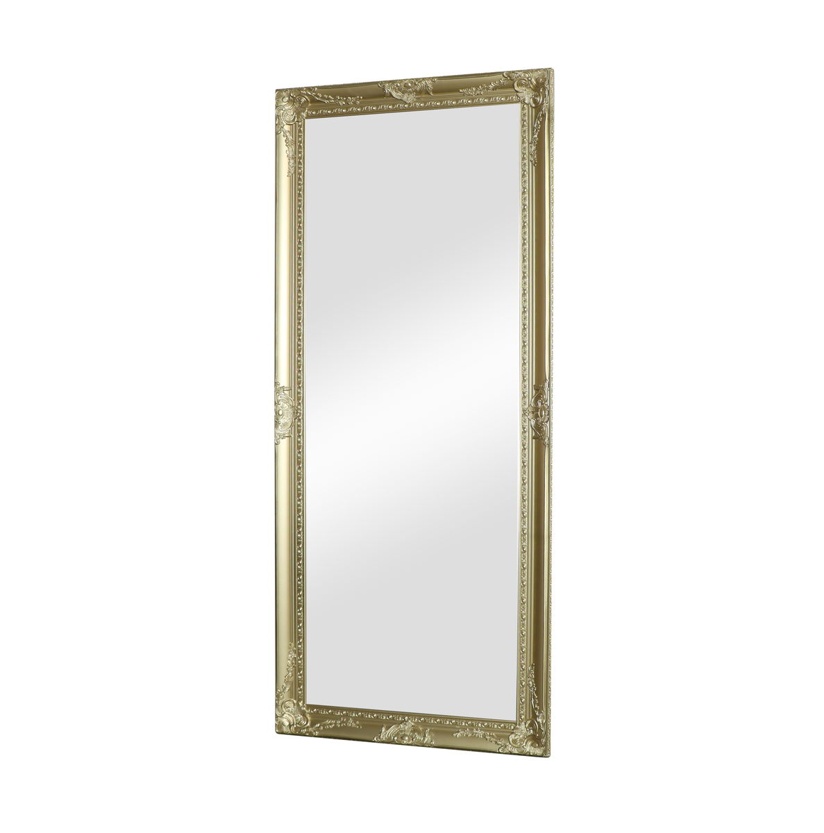 Large Ornate Gold Wall/Floor Mirror