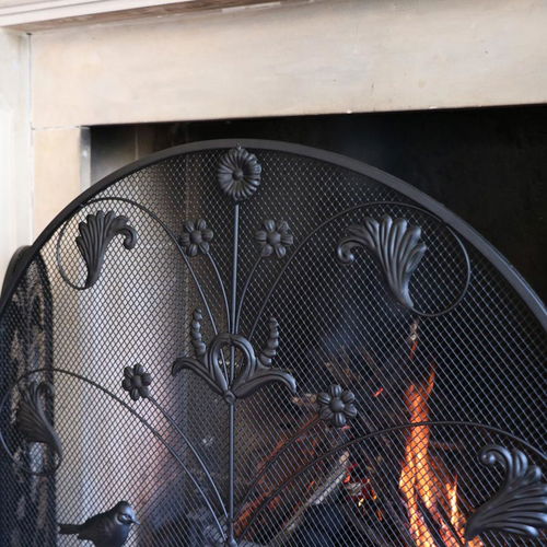 Black Metal Bird & Vine Fire Screen