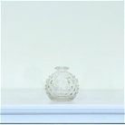 Clear Round Bubble Glass Bottle Vase
