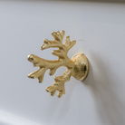 Gold Coral Shaped Drawer Knob