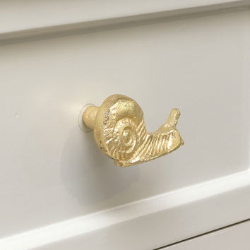 Gold Snail Drawer Knob