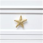 Gold Starfish Drawer Knob