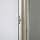 Large Champagne Ornate Wall/Floor Mirror 158cm x 78cm