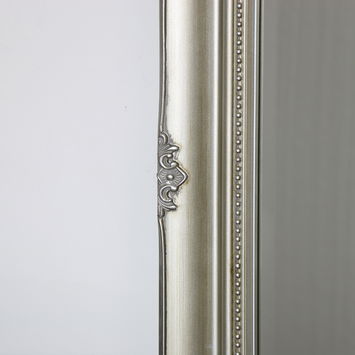 Large Champagne Ornate Wall/Floor Mirror 158cm x 78cm