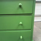 Large Olive Green Pantry/Storage Close