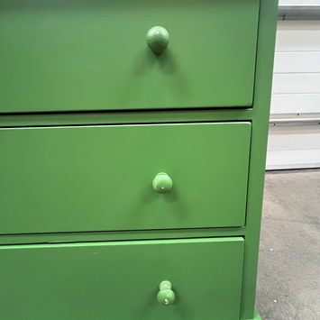 Large Olive Green Pantry/Storage Close