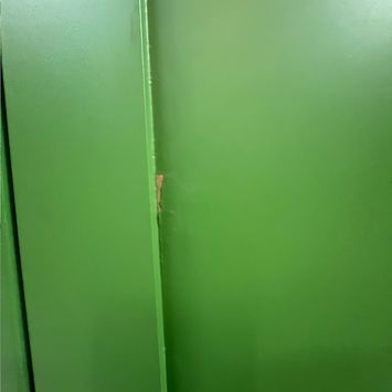 Large Olive Green Pantry/Storage Closet
