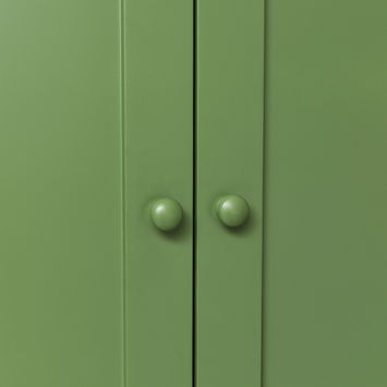 Large Olive Green Pantry/Storage Closet