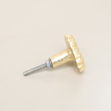 Gold Fossil Drawer Knob