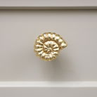 Gold Fossil Drawer Knob