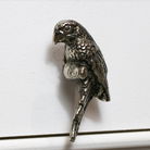 Metallic Silver Parrot Drawer Knob