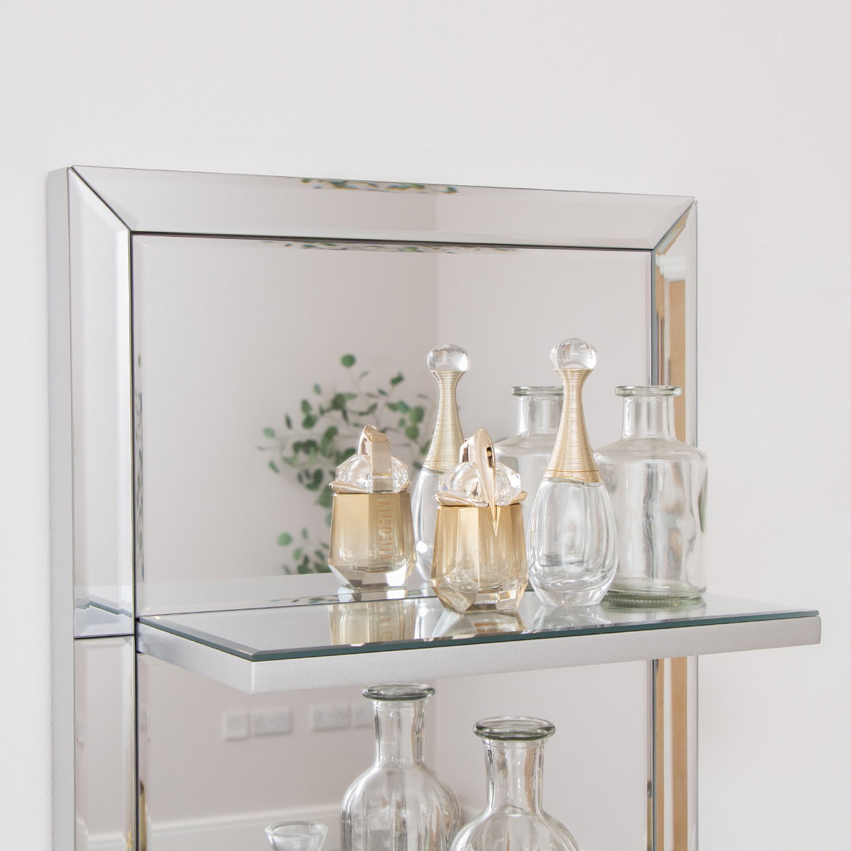 Mirrored Wall Mounted Shelving Unit
