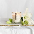 Morning Breeze Scented Candle 