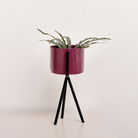 Set of 2 Plum Red Metal Planter Pots with Stand 