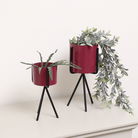 Set of 2 Plum Red Metal Planter Pots with Stand 