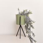 Set of 2 Sage Green Metal Planter Pots with Stand 