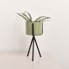 Set of 2 Sage Green Metal Planter Pots with Stand 