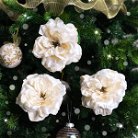 Set of 3 Cream Rose Clip Christmas Decorations - 15cm