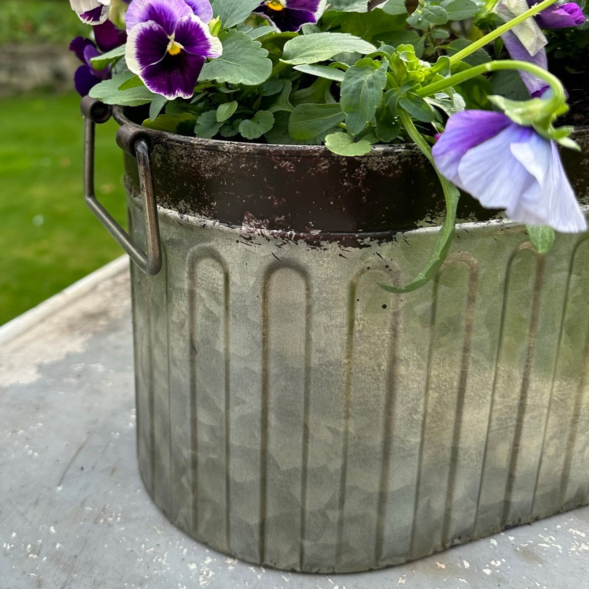 Small Rustic Metal Bucket Planter Pot