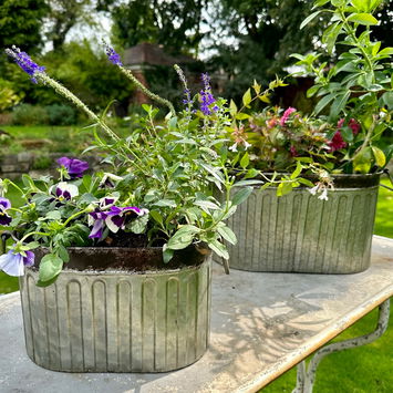 Small Rustic Metal Bucket Planter Pot