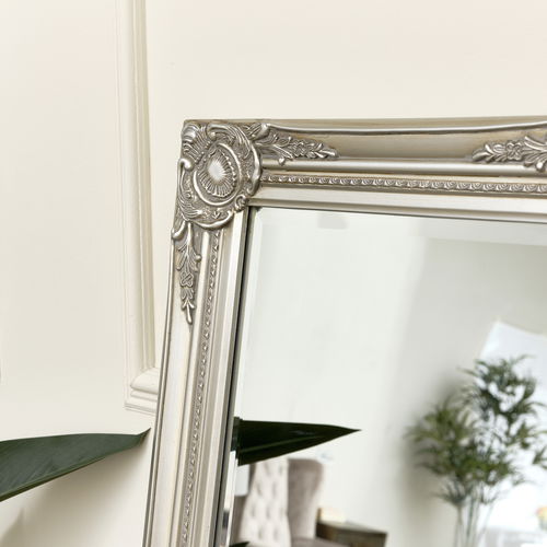 Tall Champagne Silver Wall Mirror 47cm x 142cm