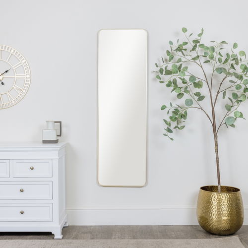 Tall Gold Curved Framed Wall / Leaner Mirror 145cm x 45cm