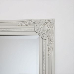Ornate Tall Taupe Wall / Leaner Mirror 47cm x 142cm