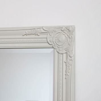 Ornate Tall Taupe Wall / Leaner Mirror 47cm x 142cm