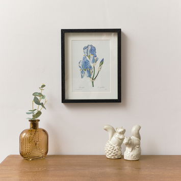 Vintage Blue Iris Flower Framed Wall Print 20cm x 25cm