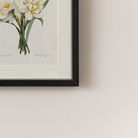 Vintage White Daffodil Flower Framed Wall Print 20cm x 25cm