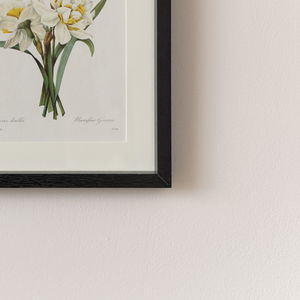 Vintage White Daffodil Flower Framed Wall Print 20cm x 25cm