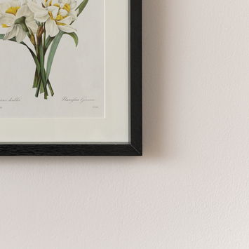Vintage White Daffodil Flower Framed Wall Print 20cm x 25cm