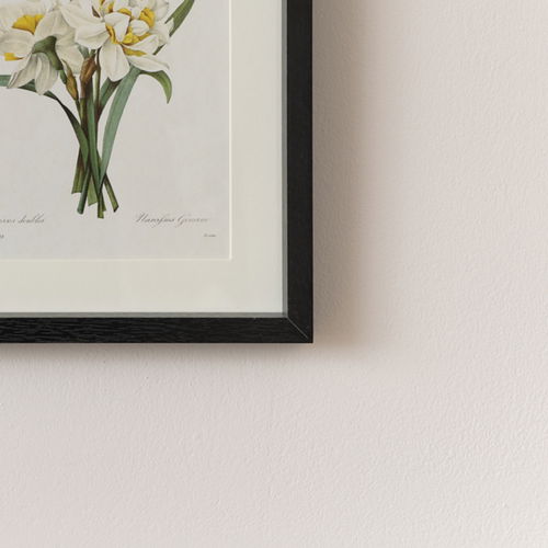 Vintage White Daffodil Flower Framed Wall Print 20cm x 25cm