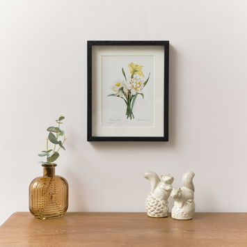 Vintage White Daffodil Flower Framed Wall Print 20cm x 25cm