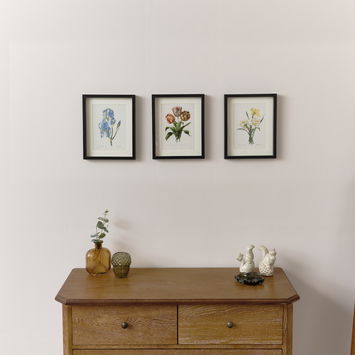 Vintage White Daffodil Flower Framed Wall Print 20cm x 25cm