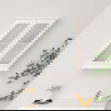 White Frosted Glass Wall Cabinet