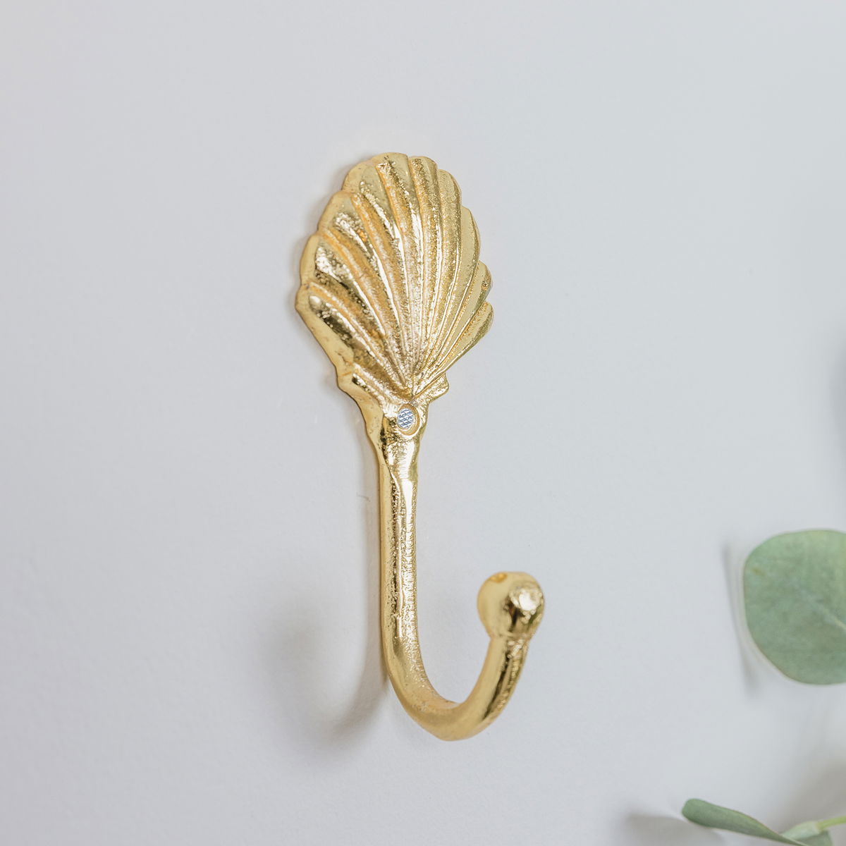 Gold Shell Wall Hook