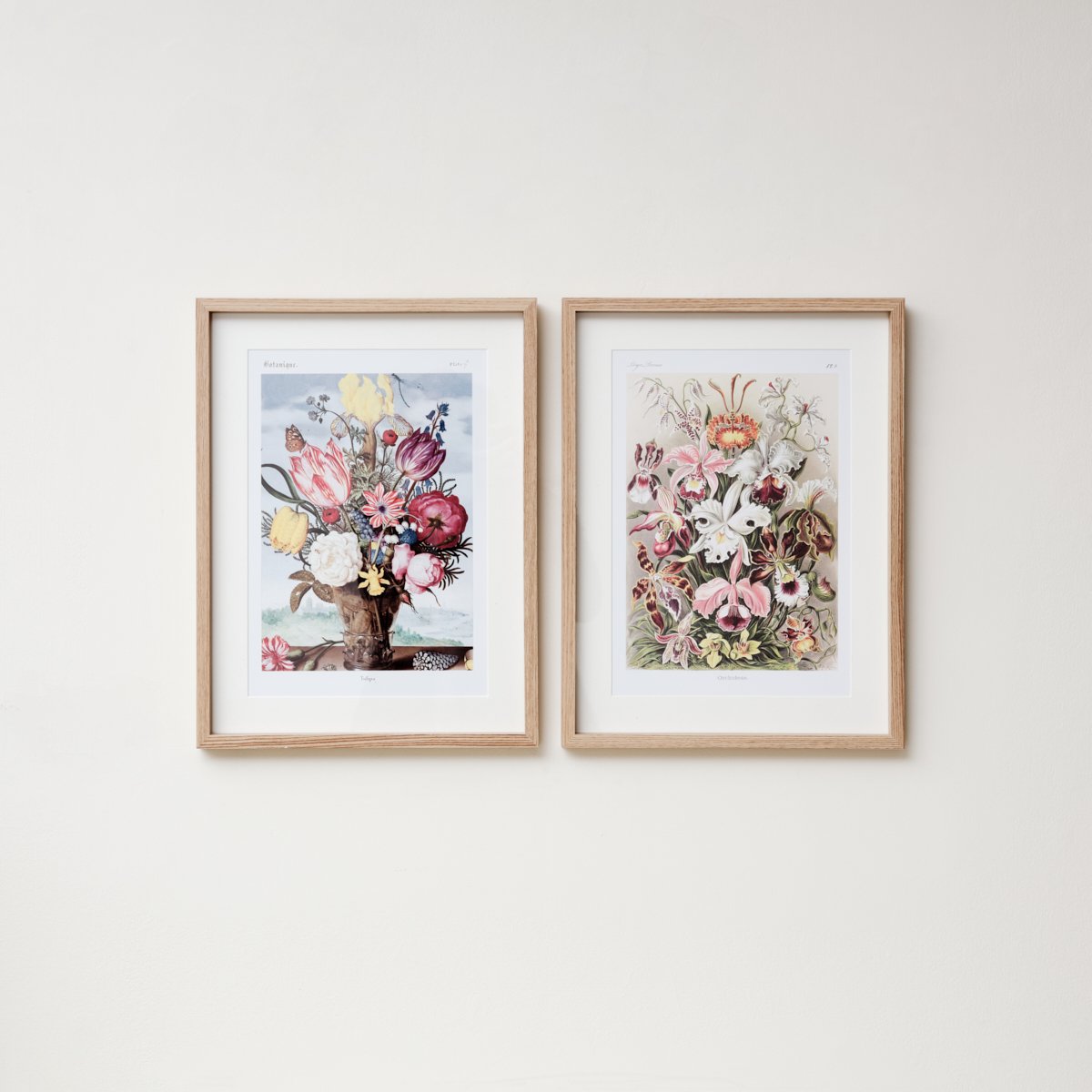 Set of 2 Dutch Flowers Wall Prints