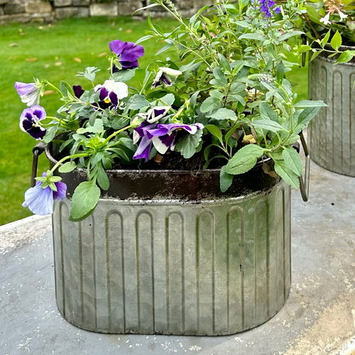 Small Rustic Metal Bucket Planter Pot