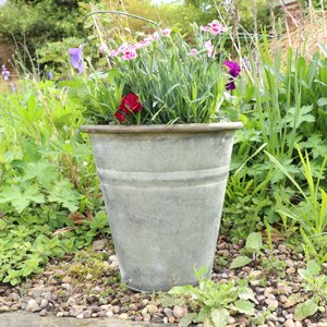 Rustic Grey Metal Bucket Planter Pot