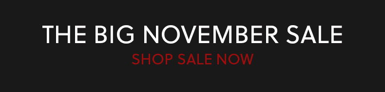 THE BIG NOVEMBER SALE